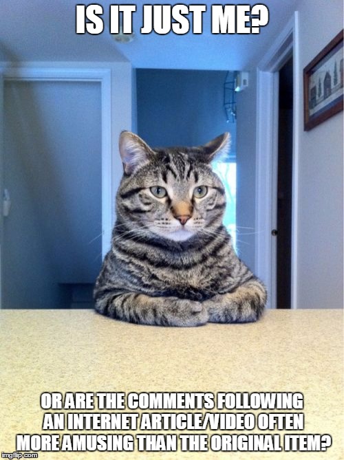 Take A Seat Cat Meme | IS IT JUST ME? OR ARE THE COMMENTS FOLLOWING AN INTERNET ARTICLE/VIDEO OFTEN MORE AMUSING THAN THE ORIGINAL ITEM? | image tagged in memes,take a seat cat | made w/ Imgflip meme maker