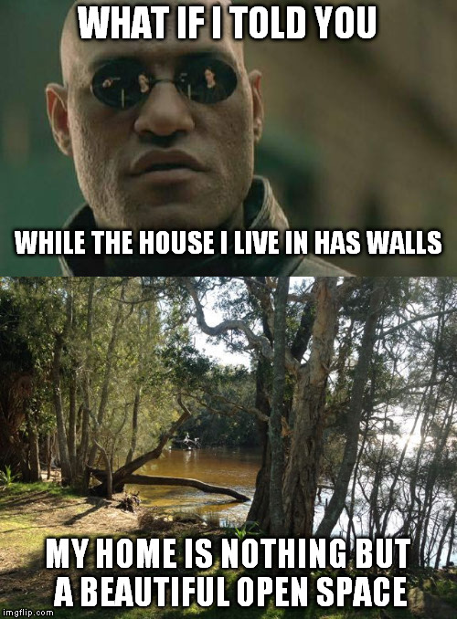 WHAT IF I TOLD YOU MY HOME IS NOTHING BUT A BEAUTIFUL OPEN SPACE WHILE THE HOUSE I LIVE IN HAS WALLS | made w/ Imgflip meme maker