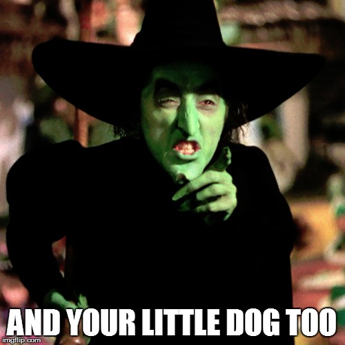AND YOUR LITTLE DOG TOO | made w/ Imgflip meme maker