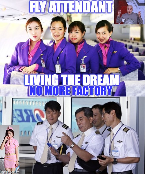 Out of Factory | FLY ATTENDANT; LIVING THE DREAM; NO MORE FACTORY | image tagged in flight attendant,factory,bad pun,asians | made w/ Imgflip meme maker