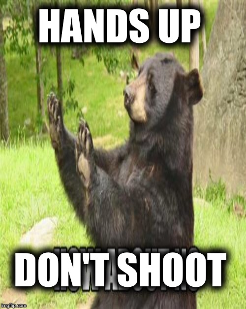 HANDS UP DON'T SHOOT | made w/ Imgflip meme maker