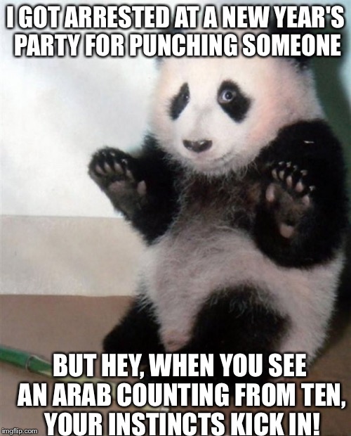 sorrybropanda | I GOT ARRESTED AT A NEW YEAR'S PARTY FOR PUNCHING SOMEONE; BUT HEY, WHEN YOU SEE AN ARAB COUNTING FROM TEN, YOUR INSTINCTS KICK IN! | image tagged in sorrybropanda | made w/ Imgflip meme maker