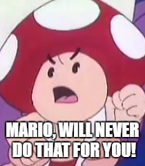 MARIO, WILL NEVER DO THAT FOR YOU! | made w/ Imgflip meme maker