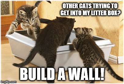 OTHER CATS TRYING TO GET INTO MY LITTER BOX? BUILD A WALL! | made w/ Imgflip meme maker