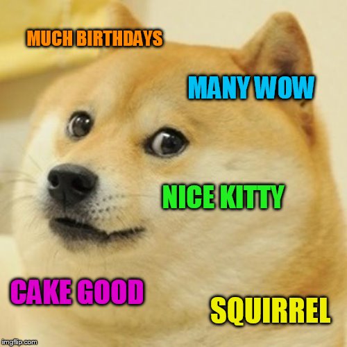 Doge Meme | MUCH BIRTHDAYS MANY WOW NICE KITTY CAKE GOOD SQUIRREL | image tagged in memes,doge | made w/ Imgflip meme maker