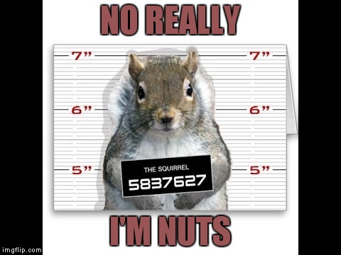 NO REALLY I'M NUTS | made w/ Imgflip meme maker