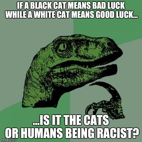 Philosoraptor | IF A BLACK CAT MEANS BAD LUCK WHILE A WHITE CAT MEANS GOOD LUCK... ...IS IT THE CATS OR HUMANS BEING RACIST? | image tagged in memes,philosoraptor | made w/ Imgflip meme maker