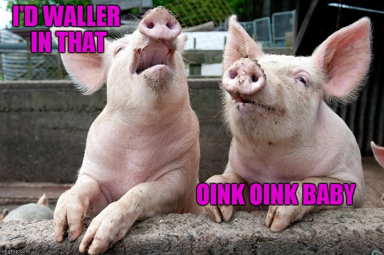 I'D WALLER IN THAT OINK OINK BABY | made w/ Imgflip meme maker