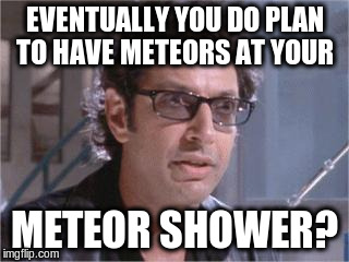 Jeff Goldblum | EVENTUALLY YOU DO PLAN TO HAVE METEORS AT YOUR; METEOR SHOWER? | image tagged in jeff goldblum | made w/ Imgflip meme maker
