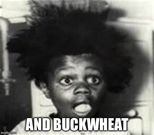 AND BUCKWHEAT | made w/ Imgflip meme maker