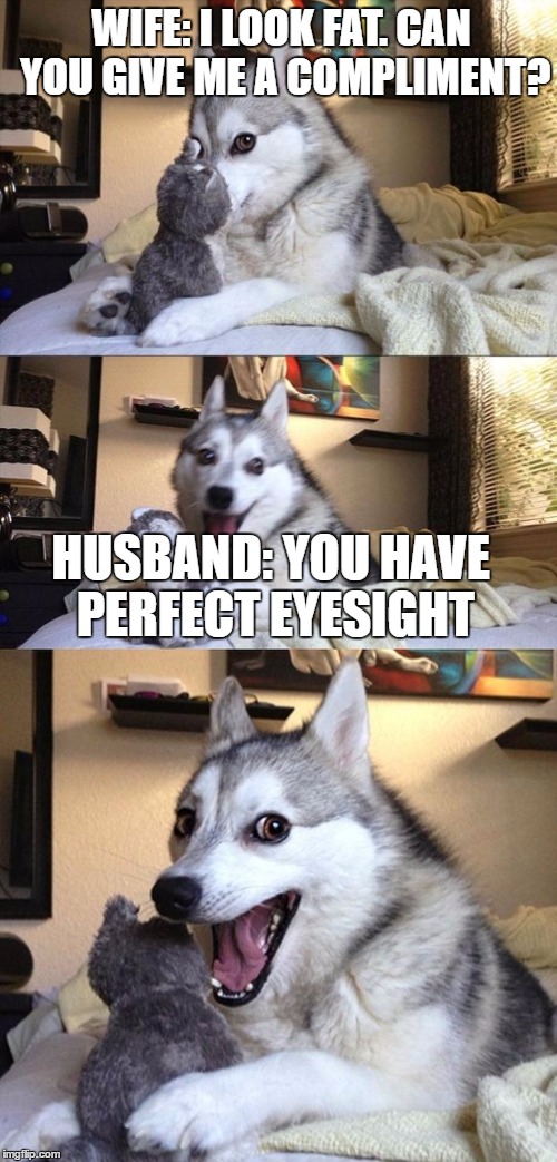 Bad Joke Dog | WIFE: I LOOK FAT. CAN YOU GIVE ME A COMPLIMENT? HUSBAND: YOU HAVE PERFECT EYESIGHT | image tagged in bad joke dog | made w/ Imgflip meme maker