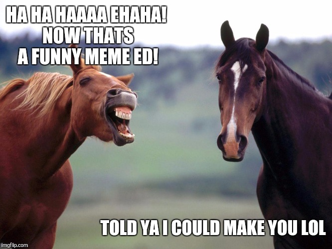 When Between Races | HA HA HAAAA EHAHA! NOW THATS A FUNNY MEME ED! TOLD YA I COULD MAKE YOU LOL | image tagged in screaming angry horse,memes,memes about memes | made w/ Imgflip meme maker