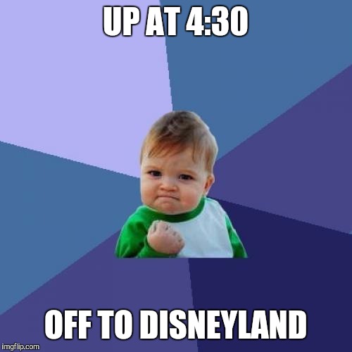 Success Kid | UP AT 4:30; OFF TO DISNEYLAND | image tagged in memes,success kid | made w/ Imgflip meme maker