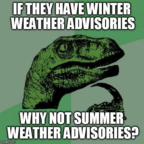 Philosoraptor Meme | IF THEY HAVE WINTER WEATHER ADVISORIES WHY NOT SUMMER WEATHER ADVISORIES? | image tagged in memes,philosoraptor | made w/ Imgflip meme maker