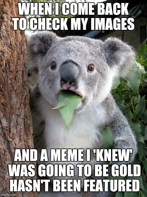 Surprised Koala | WHEN I COME BACK TO CHECK MY IMAGES; AND A MEME I 'KNEW' WAS GOING TO BE GOLD HASN'T BEEN FEATURED | image tagged in memes,surprised koala | made w/ Imgflip meme maker