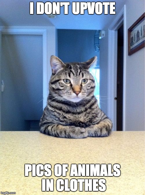 Take A Seat Cat | I DON'T UPVOTE; PICS OF ANIMALS IN CLOTHES | image tagged in memes,take a seat cat | made w/ Imgflip meme maker
