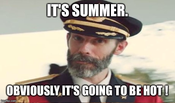 IT'S SUMMER. OBVIOUSLY IT'S GOING TO BE HOT ! | made w/ Imgflip meme maker