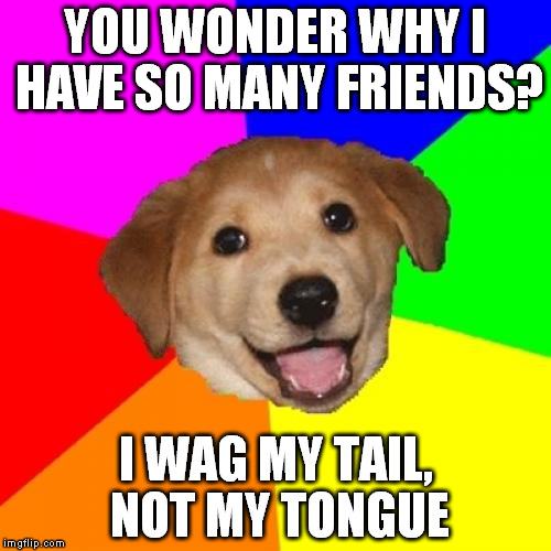 Advice Dog Meme | YOU WONDER WHY I HAVE SO MANY FRIENDS? I WAG MY TAIL, NOT MY TONGUE | image tagged in memes,advice dog | made w/ Imgflip meme maker