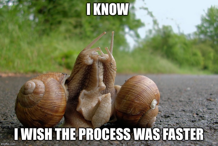 I KNOW I WISH THE PROCESS WAS FASTER | made w/ Imgflip meme maker