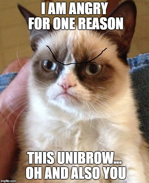 Grumpy Cat Meme | I AM ANGRY FOR ONE REASON; THIS UNIBROW... OH AND ALSO YOU | image tagged in memes,grumpy cat | made w/ Imgflip meme maker