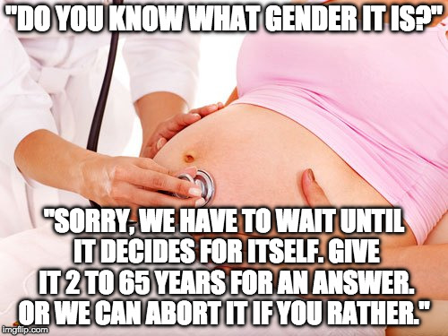Sometimes liberal logic hurts to say out loud. | "DO YOU KNOW WHAT GENDER IT IS?"; "SORRY, WE HAVE TO WAIT UNTIL IT DECIDES FOR ITSELF. GIVE IT 2 TO 65 YEARS FOR AN ANSWER. OR WE CAN ABORT IT IF YOU RATHER." | image tagged in pregnant,abortion,transgender,college liberal,gender identity | made w/ Imgflip meme maker