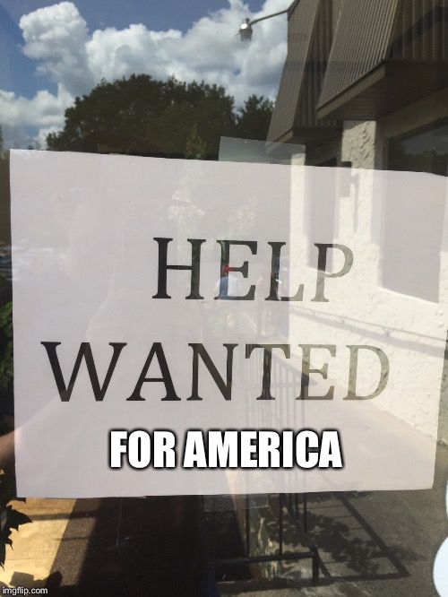 I wonder how scientifically accurate I am | FOR AMERICA | image tagged in help wanted,election 2016,signs | made w/ Imgflip meme maker