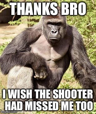 Ape | THANKS BRO I WISH THE SHOOTER HAD MISSED ME TOO | image tagged in ape | made w/ Imgflip meme maker