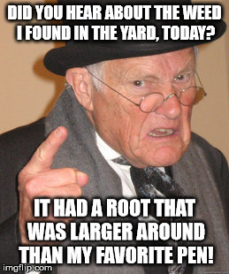 Just doing yard work with my grandfather and I thought of this ("did you see the one that got away?") | DID YOU HEAR ABOUT THE WEED I FOUND IN THE YARD, TODAY? IT HAD A ROOT THAT WAS LARGER AROUND THAN MY FAVORITE PEN! | image tagged in memes,back in my day,weeds,10 guy response plz,did you see the weed that got away,aegis_runestone | made w/ Imgflip meme maker