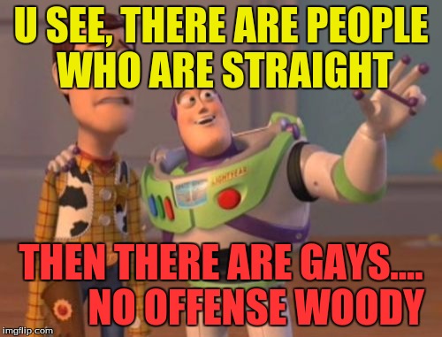 gay | U SEE, THERE ARE PEOPLE WHO ARE STRAIGHT; THEN THERE ARE GAYS....         NO OFFENSE WOODY | image tagged in memes,x x everywhere | made w/ Imgflip meme maker