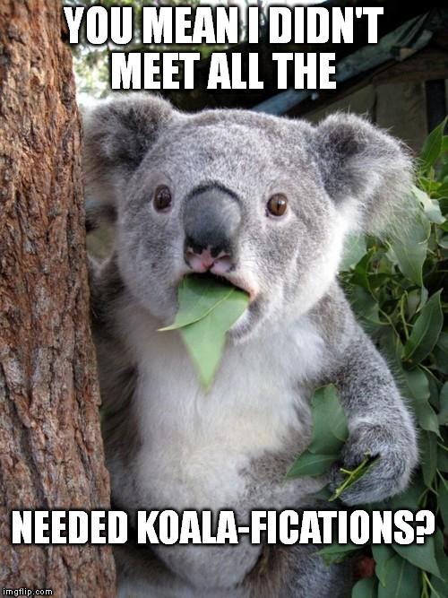 Surprised Koala |  YOU MEAN I DIDN'T MEET ALL THE; NEEDED KOALA-FICATIONS? | image tagged in memes,surprised koala | made w/ Imgflip meme maker