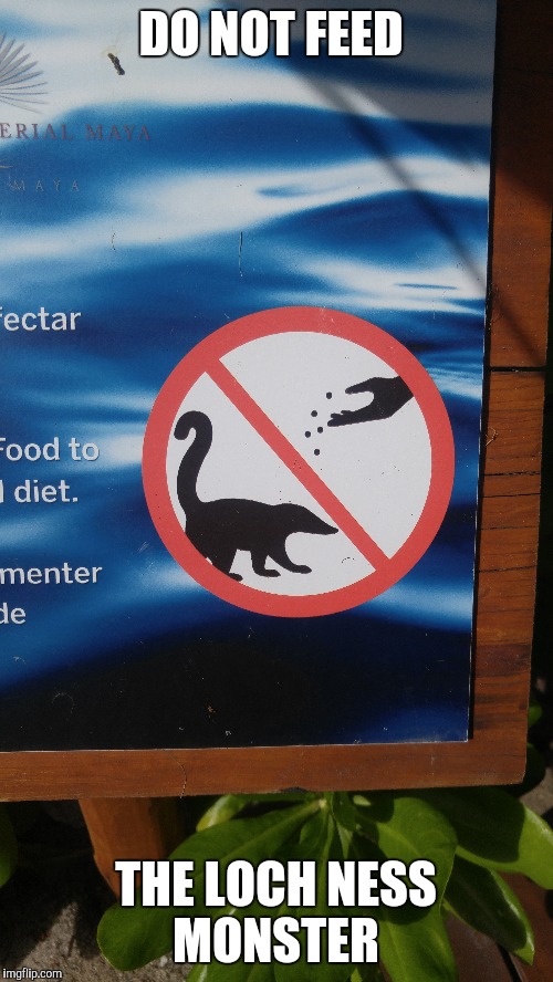 When in Mexico  | DO NOT FEED; THE LOCH NESS MONSTER | image tagged in loch ness monster,wtf | made w/ Imgflip meme maker