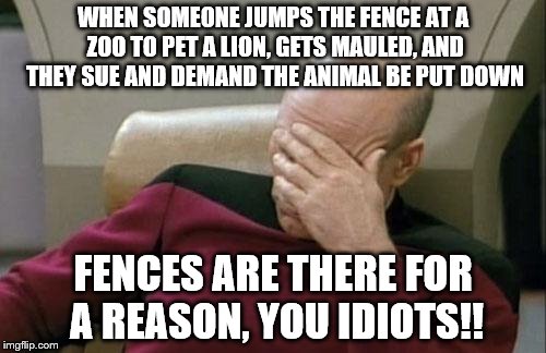 I don't know if I can live in a world with so many stupid people. | WHEN SOMEONE JUMPS THE FENCE AT A ZOO TO PET A LION, GETS MAULED, AND THEY SUE AND DEMAND THE ANIMAL BE PUT DOWN; FENCES ARE THERE FOR A REASON, YOU IDIOTS!! | image tagged in memes,captain picard facepalm,zoo,stupid people | made w/ Imgflip meme maker