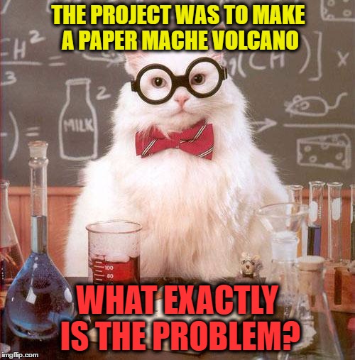 THE PROJECT WAS TO MAKE A PAPER MACHE VOLCANO WHAT EXACTLY IS THE PROBLEM? | made w/ Imgflip meme maker