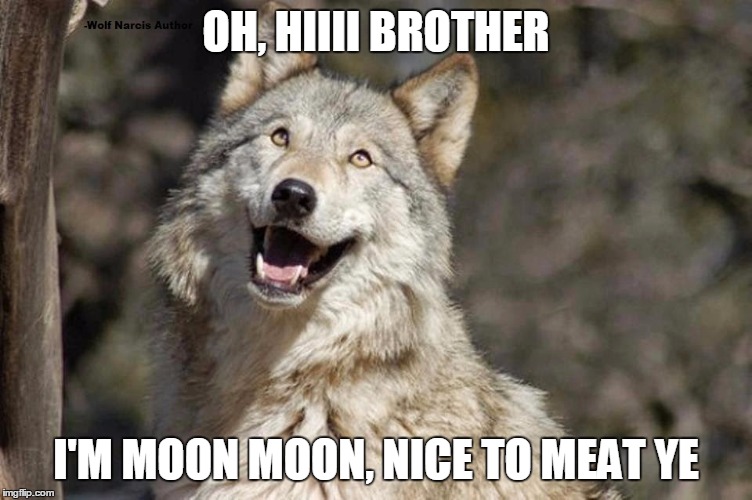 Optimistic Moon Moon Wolf Vanadium Wolf | OH, HIIII BROTHER I'M MOON MOON, NICE TO MEAT YE | image tagged in optimistic moon moon wolf vanadium wolf | made w/ Imgflip meme maker