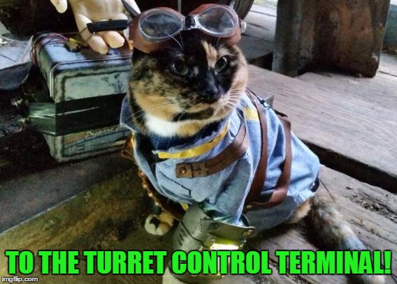 Fallout RayCat | TO THE TURRET CONTROL TERMINAL! | image tagged in fallout raycat,memes | made w/ Imgflip meme maker