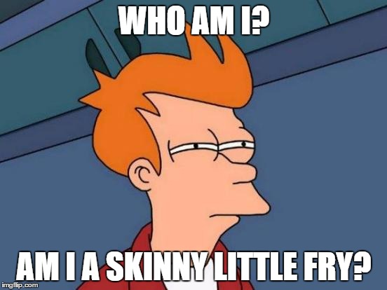 Futurama Fry | WHO AM I? AM I A SKINNY LITTLE FRY? | image tagged in memes,futurama fry | made w/ Imgflip meme maker