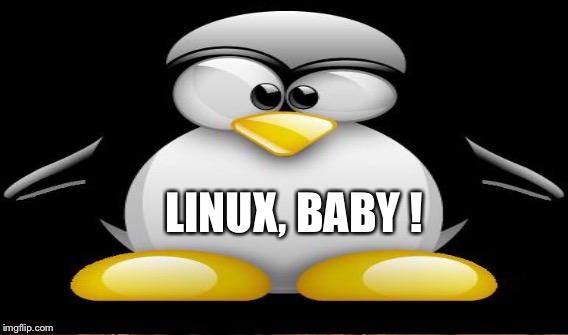LINUX, BABY ! | made w/ Imgflip meme maker