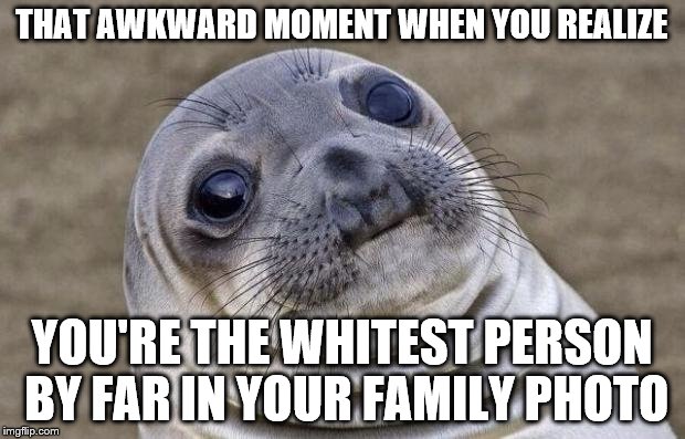 Awkward Moment Sealion | THAT AWKWARD MOMENT WHEN YOU REALIZE; YOU'RE THE WHITEST PERSON BY FAR IN YOUR FAMILY PHOTO | image tagged in memes,awkward moment sealion,family,white | made w/ Imgflip meme maker