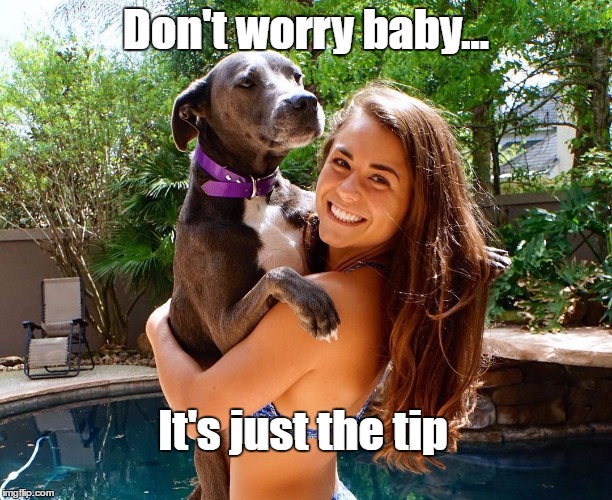 Don't worry baby... It's just the tip | made w/ Imgflip meme maker