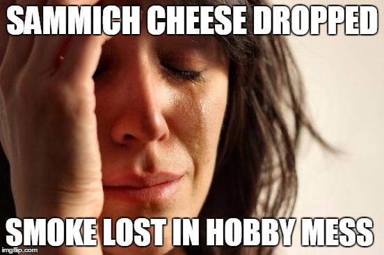 First World Problems Meme | SAMMICH CHEESE DROPPED; SMOKE LOST IN HOBBY MESS | image tagged in memes,first world problems | made w/ Imgflip meme maker