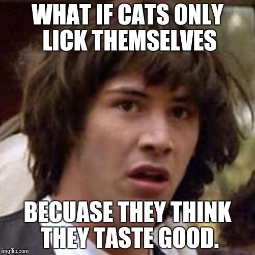 Conspiracy Keanu Meme | WHAT IF CATS ONLY LICK THEMSELVES; BECUASE THEY THINK THEY TASTE GOOD. | image tagged in memes,conspiracy keanu | made w/ Imgflip meme maker