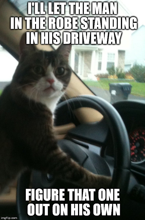 I'LL LET THE MAN IN THE ROBE STANDING IN HIS DRIVEWAY FIGURE THAT ONE OUT ON HIS OWN | image tagged in jojo the driving cat | made w/ Imgflip meme maker