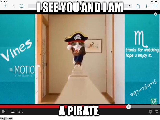 I SEE YOU AND I AM; A PIRATE | image tagged in i see u | made w/ Imgflip meme maker