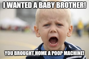 The joys of parenting | I WANTED A BABY BROTHER! YOU BROUGHT HOME A POOP MACHINE! | image tagged in siblings,parenting,poop | made w/ Imgflip meme maker