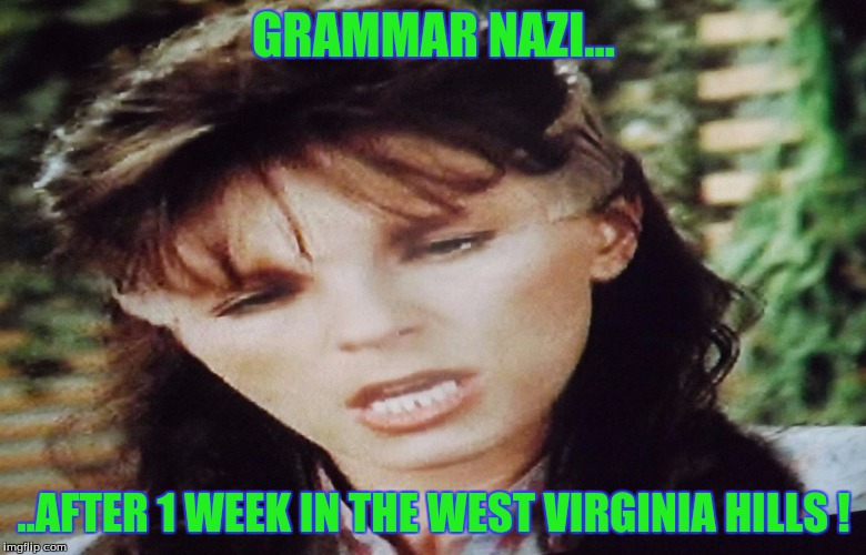GRAMMAR NAZI... ..AFTER 1 WEEK IN THE WEST VIRGINIA HILLS ! | image tagged in tv humor | made w/ Imgflip meme maker