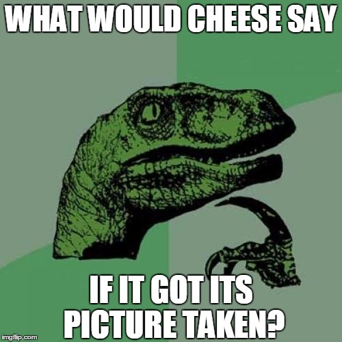 Philosoraptor | WHAT WOULD CHEESE SAY; IF IT GOT ITS PICTURE TAKEN? | image tagged in memes,philosoraptor,cheese,picture,say cheese | made w/ Imgflip meme maker