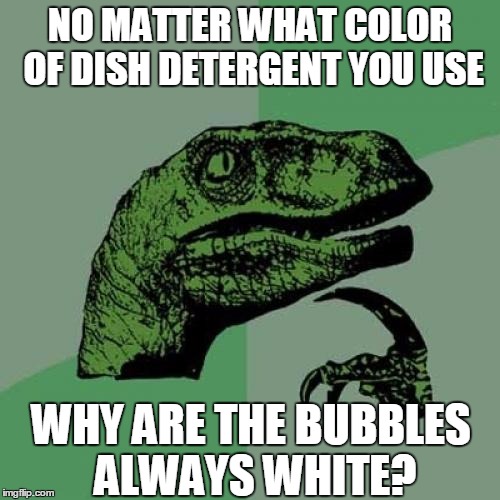 Philosoraptor | NO MATTER WHAT COLOR OF DISH DETERGENT YOU USE; WHY ARE THE BUBBLES ALWAYS WHITE? | image tagged in memes,philosoraptor,white,bubbles,detergent,dishes | made w/ Imgflip meme maker