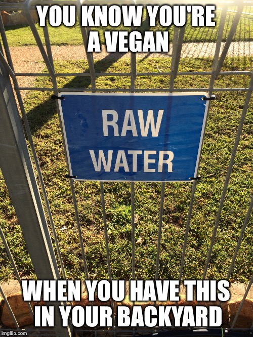 Raw Water, as opposed to Normal Unhealthy Water.  | YOU KNOW YOU'RE A VEGAN; WHEN YOU HAVE THIS IN YOUR BACKYARD | image tagged in memes,funny,water,vegan | made w/ Imgflip meme maker