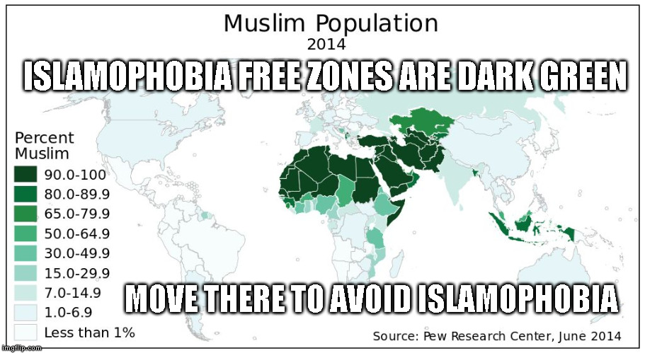 ISLAMOPHOBIA FREE ZONES ARE DARK GREEN; MOVE THERE TO AVOID ISLAMOPHOBIA | image tagged in muslim countries | made w/ Imgflip meme maker