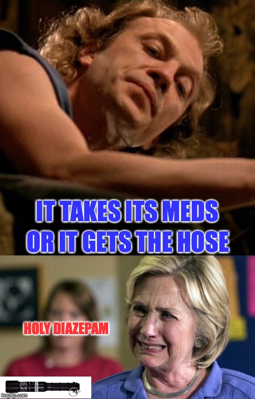 'It Gets The Hose' | IT TAKES ITS MEDS; OR IT GETS THE HOSE; HOLY DIAZEPAM | image tagged in hillary clinton 2016,medical,buffalo bill | made w/ Imgflip meme maker